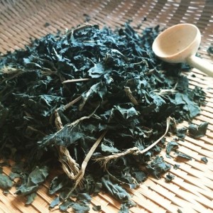 藍茶